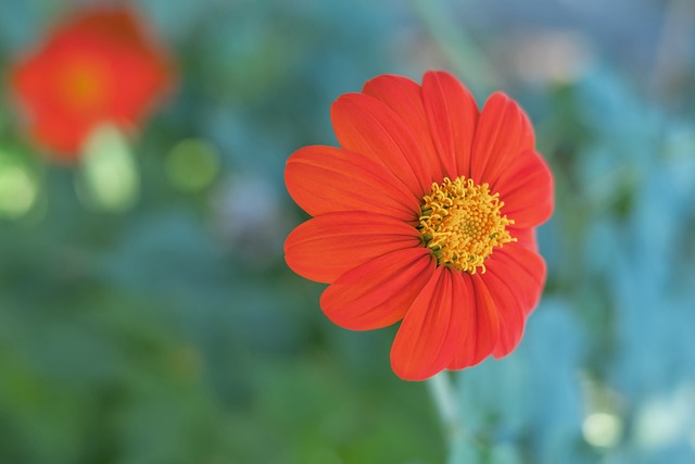 哈弗茨为彪马足球代言